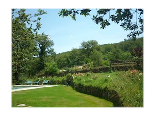 Der Weinberg hinter dem Pool