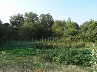 Casa per le vacanze Ambra Registrazione all'aperto 8