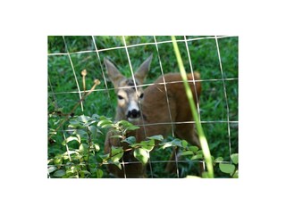 Casa per le vacanze Ambra Registrazione all'aperto 10