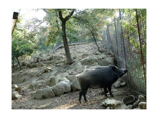 Casa per le vacanze Ambra Registrazione all'aperto 11