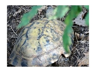 Casa per le vacanze Ambra Registrazione all'aperto 12