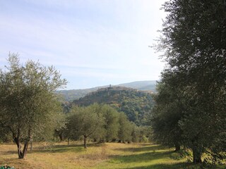 Fattoria Seggiano Ambiente 39