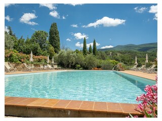 Fattoria Seggiano Registrazione all'aperto 6