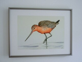 Appartamento per vacanze Langeoog Caratteristiche 17