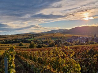 Ferienhaus Gossersweiler-Stein Umgebung 20