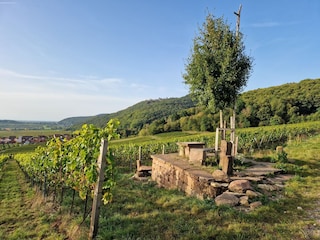 Ferienhaus Gossersweiler-Stein Umgebung 23