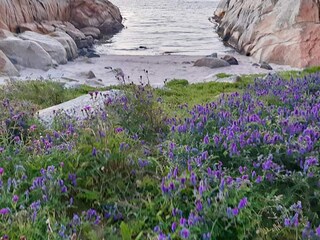 Holiday house Hvasser  16