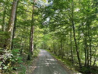 Holiday house Kyrkhult Outdoor Recording 11