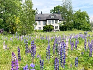 Ferienhaus Kyrkhult Außenaufnahme 13