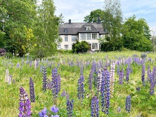 Ferienhaus Kyrkhult Außenaufnahme 11