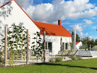 Ferienhaus Visby Außenaufnahme 5