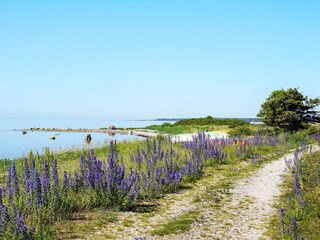 Holiday house Visby  31