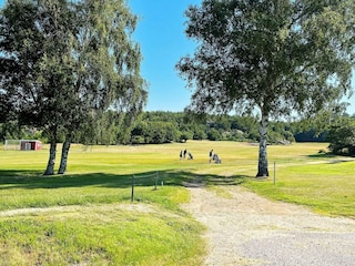 Holiday house Varekil  19