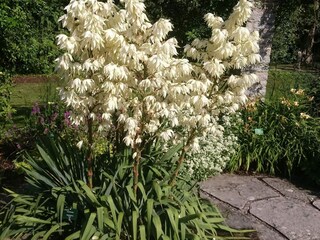 Holiday house Visby  29