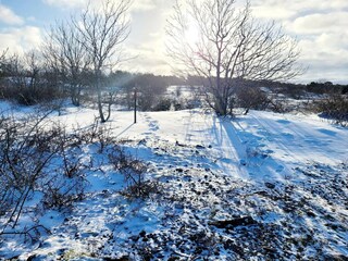 Holiday house Visby  16