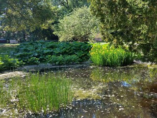 Vakantiehuis Visby  33