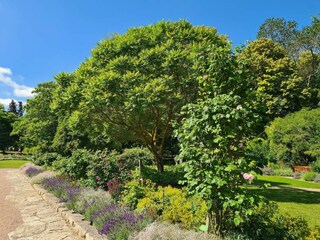 Vakantiehuis Visby  27