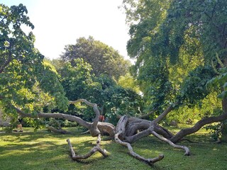 Vakantiehuis Visby  9