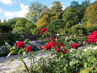 Vakantiehuis Visby  10