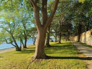 Vakantiehuis Visby  14