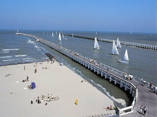 Apartment Nieuwpoort Environment 21