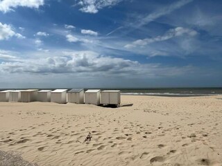 Apartment Nieuwpoort Umgebung 21