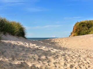 Vakantiepark De Cocksdorp Omgeving 21