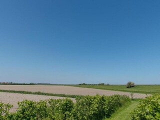 Holiday park Wemeldinge Environment 32