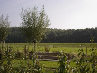 Holiday park Wemeldinge Environment 17