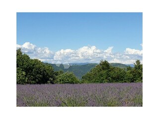 Casa per le vacanze Vižinada Ambiente 38