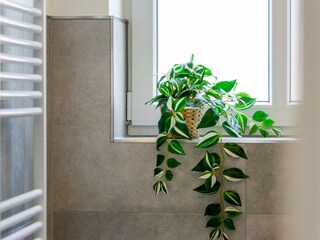 Ferienwohnung Greetsiel Ausstattung 40