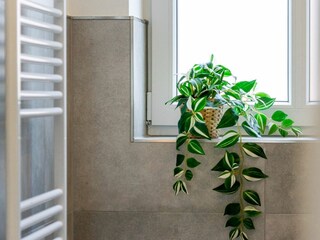 Apartamento de vacaciones Greetsiel Grabación al aire libre 12