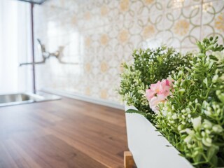 Appartamento Venecia Caratteristiche 7