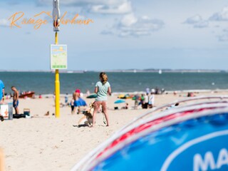Apartamento de vacaciones Nieuwvliet Entorno 30