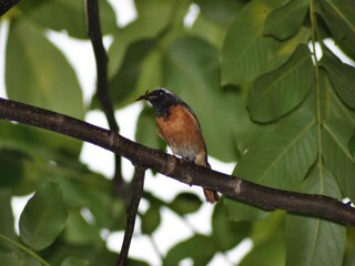 Apartment Nieuwpoort Umgebung 28