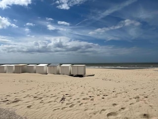 Apartment Nieuwpoort Umgebung 28
