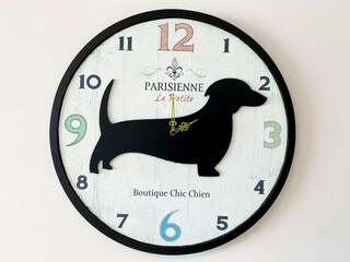 Appartamento Nieuwpoort  39