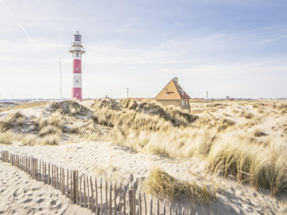 Apartment Nieuwpoort Umgebung 21