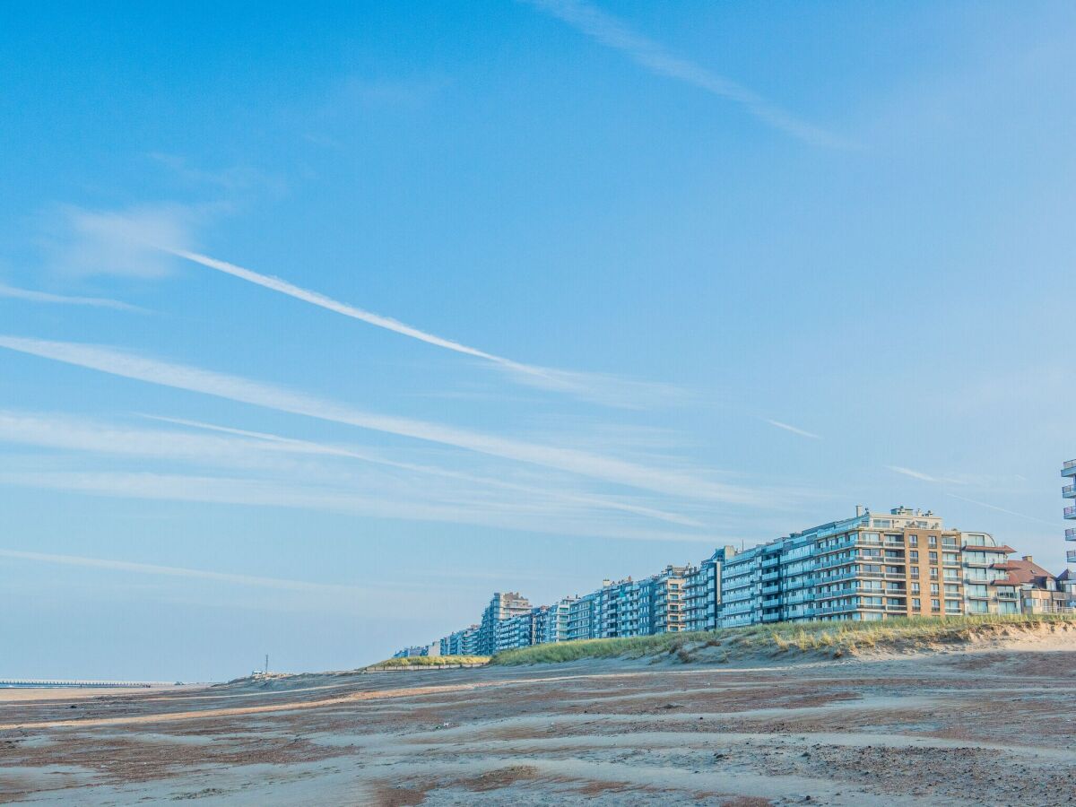 Apartment Nieuwpoort Umgebung 35