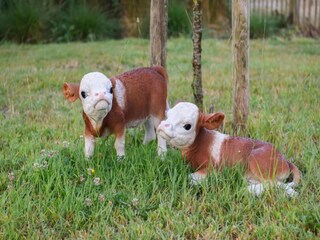 Apartment Nieuwpoort Environment 9