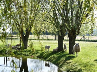 Appartement Nieuwpoort Omgeving 14