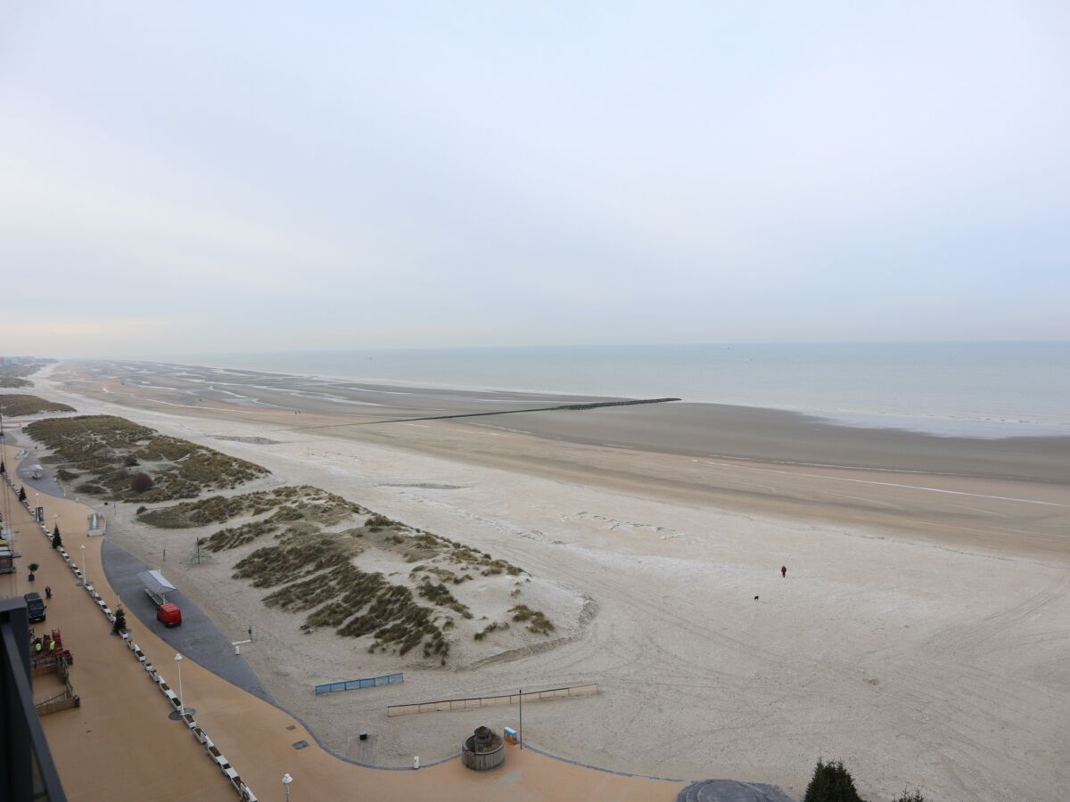 Apartment Nieuwpoort Outdoor Recording 1