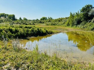 Apartamento Nieuwpoort Entorno 15