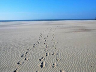 Appartamento Nieuwpoort Ambiente 18