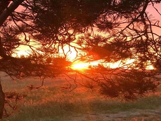 Appartamento Pruchten Ambiente 34