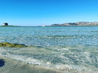 Casa per le vacanze Stintino Ambiente 31