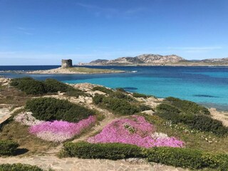 Casa per le vacanze Stintino Ambiente 33
