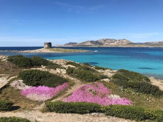 Casa per le vacanze Stintino Ambiente 35