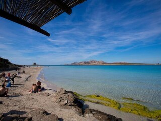 Casa per le vacanze Stintino Ambiente 31