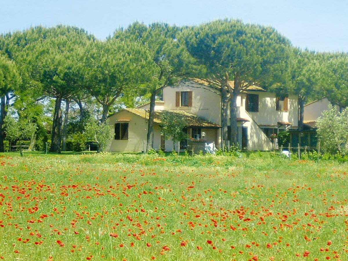 Parc de vacances Marina di Grosseto Enregistrement extérieur 1